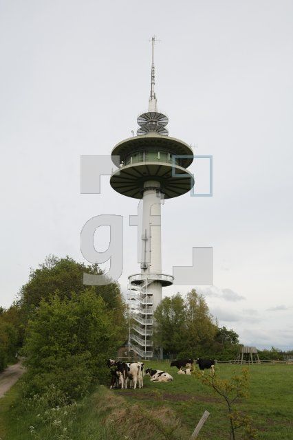 LG26_Stollberg02_0103.JPG