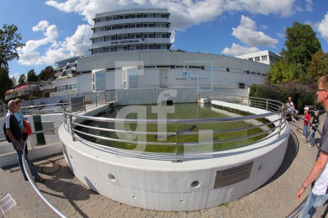 LK03_Geomar_0164.JPG