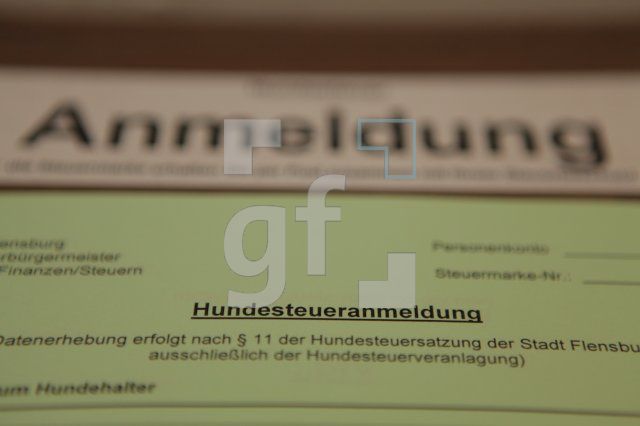 LM22_Steruern02_0142.JPG