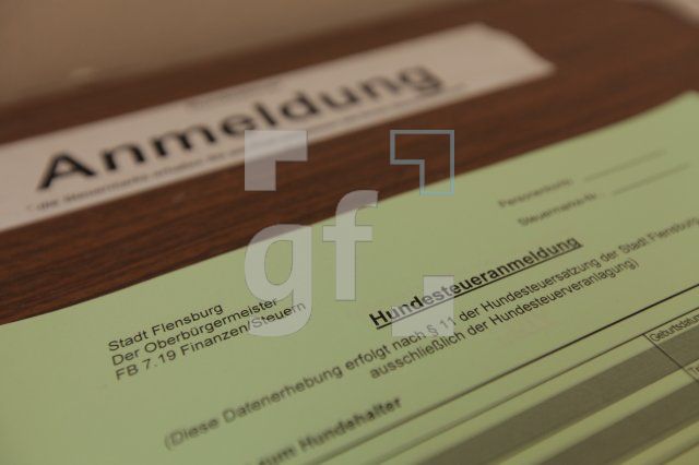 LM22_Steruern03_0133.JPG