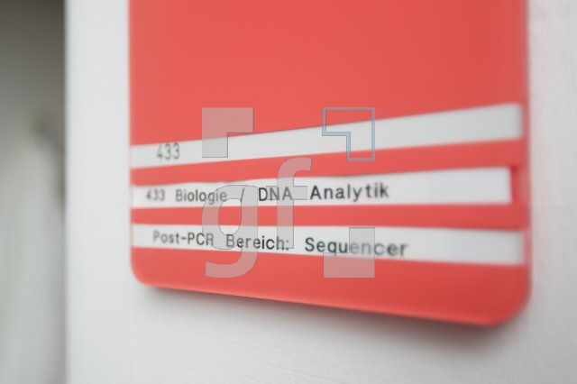 OC15_DNA01_0162.JPG