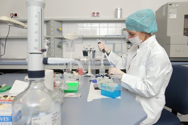 OC15_DNA09_0184.JPG