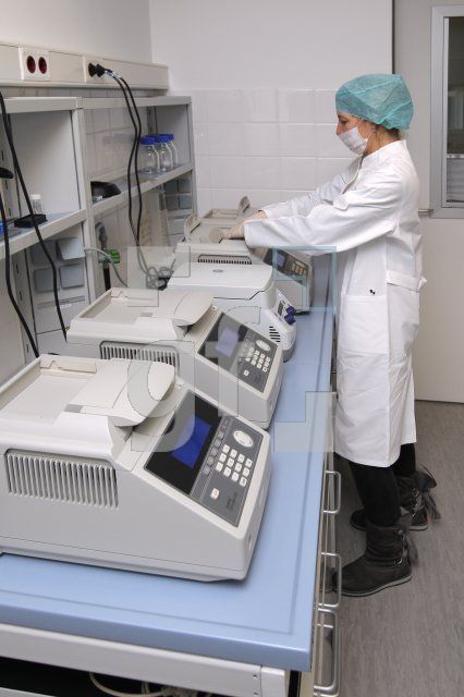 OC15_DNA13_0120.JPG