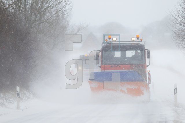 OE10_Winter01_0170.JPG