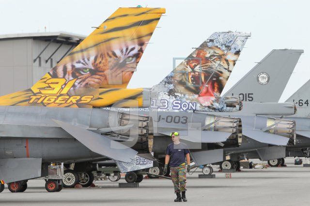 PH17_Tiger02_0181.JPG