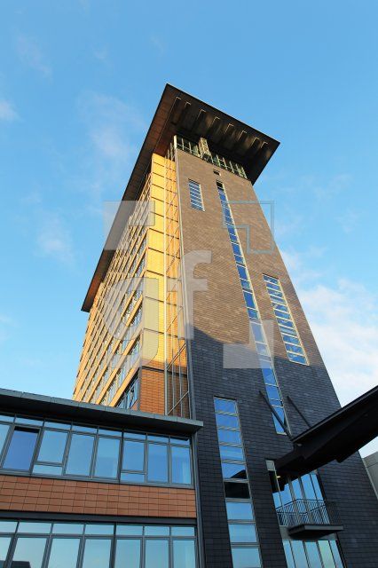 PM26_Rat02_0191.JPG