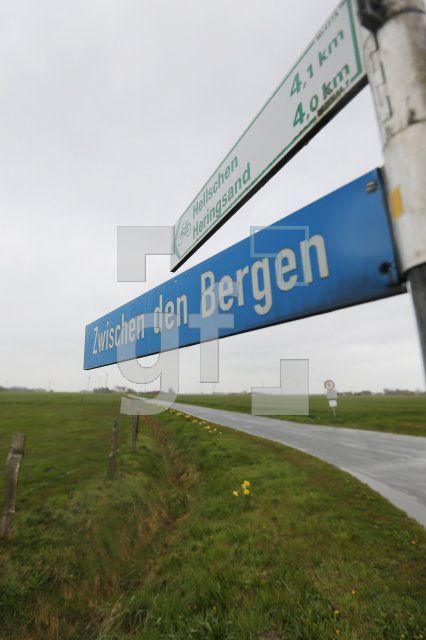 RF29_Berg05_0148.JPG