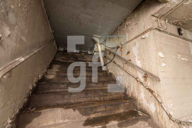 RG25_Mi03_0753.jpg