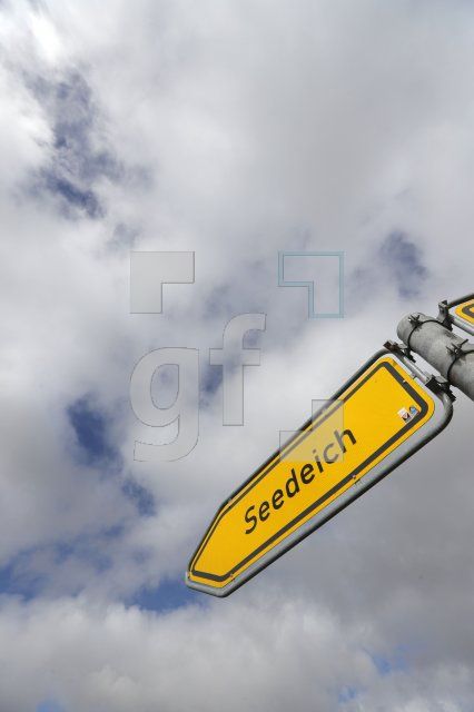 SF10_Pe12_0111.JPG