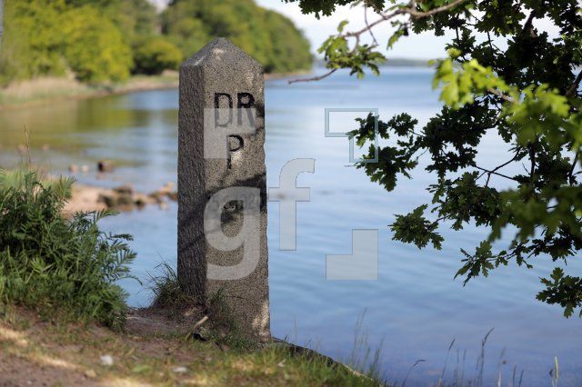 VG29_Gr07_0107.JPG