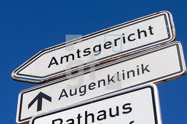 ZCF21_Ag_0110370.JPG