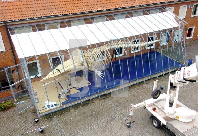 FF22_LuebeckNaturMuseum2_0100.jpg