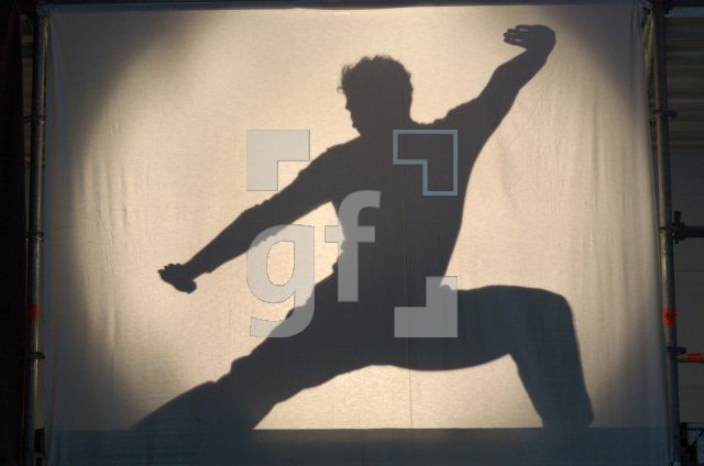 GM11_Schatten12_0114.jpg