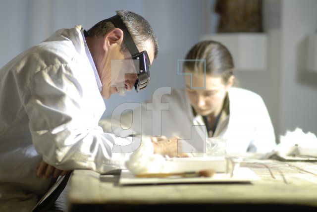 HN20_Restaurator02_0157.JPG