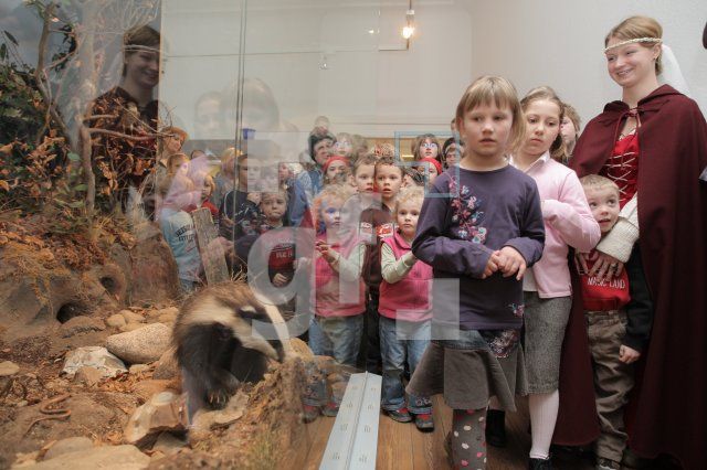 JF05_Museum03_0177.JPG
