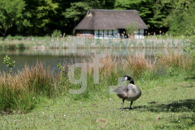 JG08_Molfsee28_0116.JPG