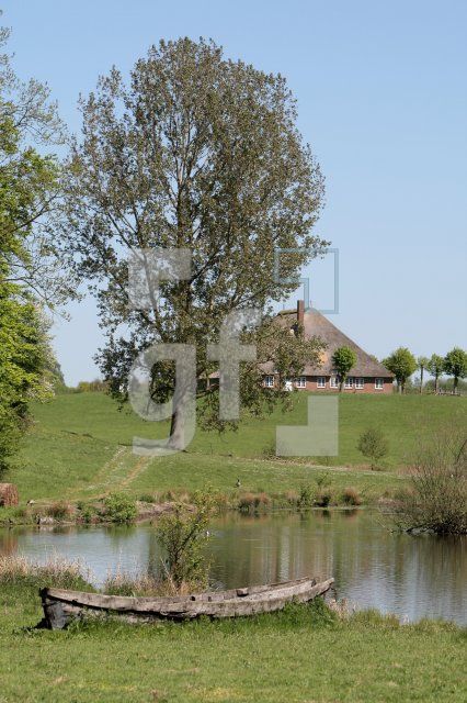 JG08_Molfsee30_0107.JPG