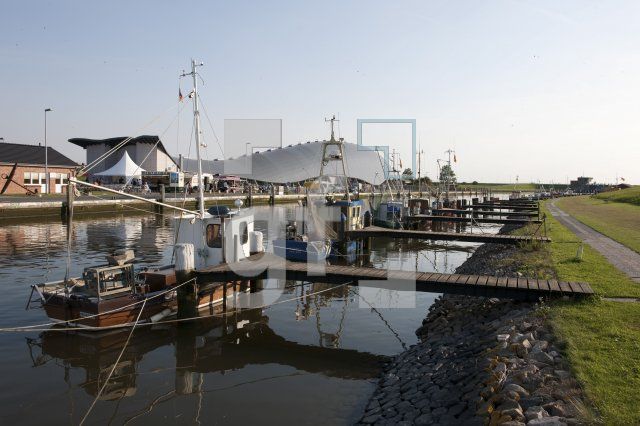 KJ23_Friedrichskoog01_1300.jpg