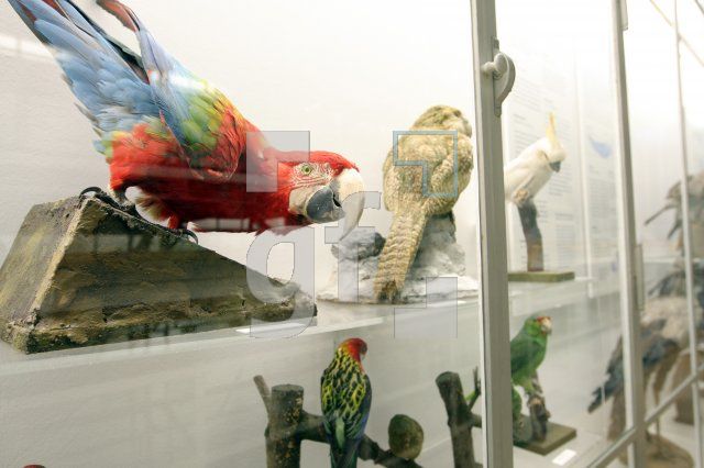 KM16_Museum01_0161.JPG