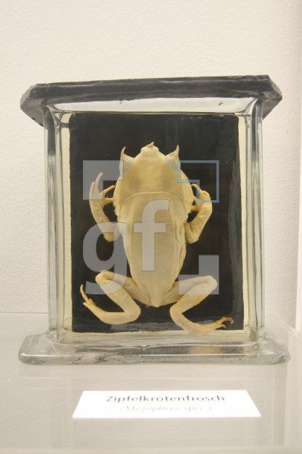 KM16_Museum03_0182.JPG