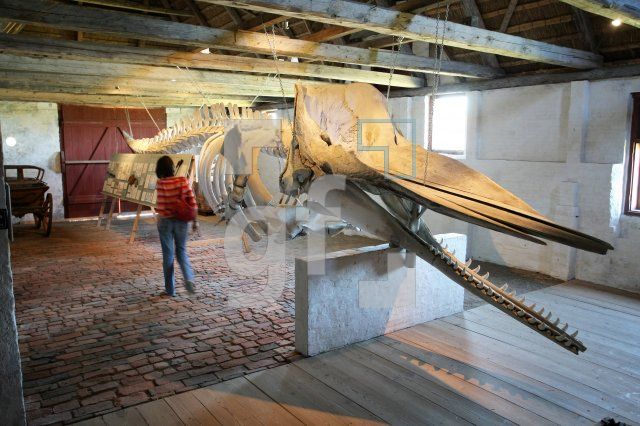 LH23_Museum01_0133.JPG