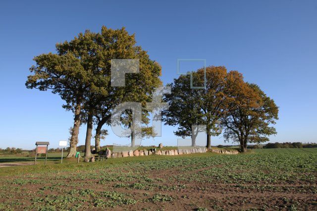 LL25_Langbett01_0113.JPG