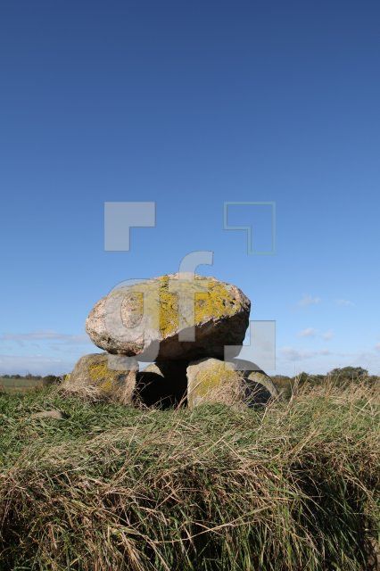 LL25_Megalith04_0100.JPG