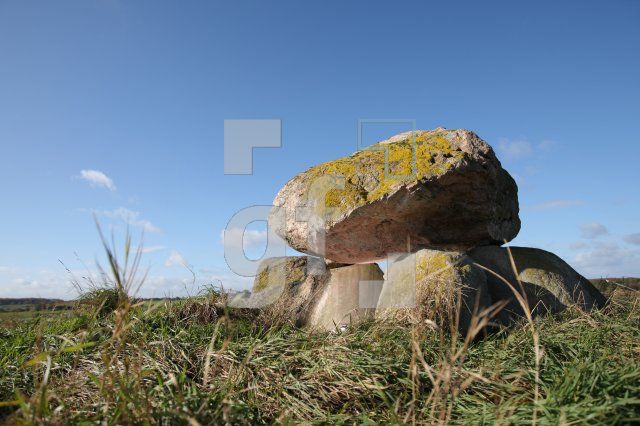 LL25_Megalith10_0116.JPG