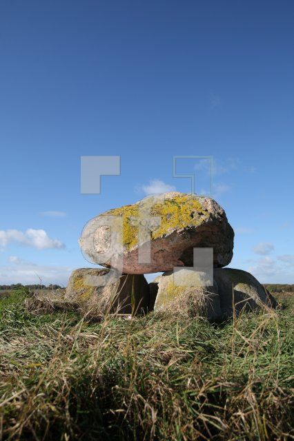 LL25_Megalith12_0120.JPG
