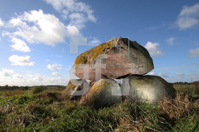 LL25_Megalith18_0145.JPG