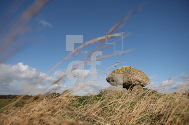 LL25_Megalith22_0183.JPG