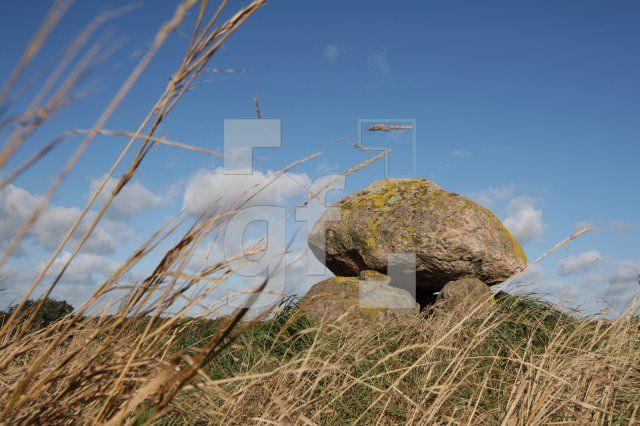 LL25_Megalith26_0117.JPG