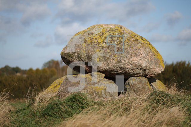 LL25_Megalith28_0131.JPG