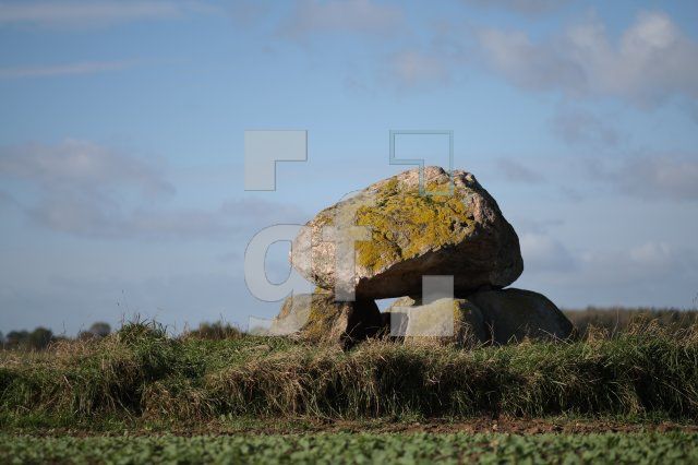 LL25_Megalith29_0136.JPG