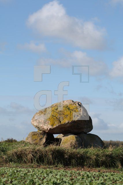 LL25_Megalith30_0147.JPG