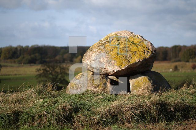 LL25_Megalith33_0159.JPG