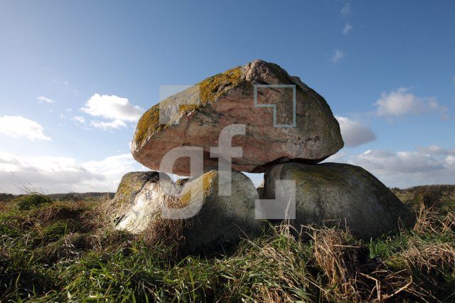 LL25_Megalith35_0182.JPG