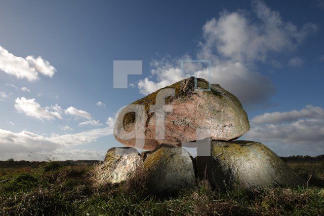 LL25_Megalith38_0188.JPG