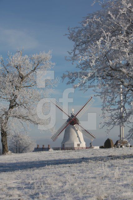 LM27_Dybboel19_0114.JPG