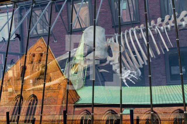 ND15_Luebeck06_2319.jpg