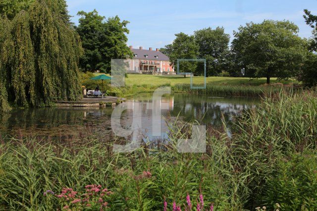 NJ17_Schierensee20_0147.JPG