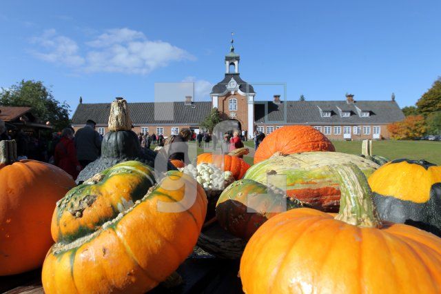 NL07_Museum08_0165.JPG