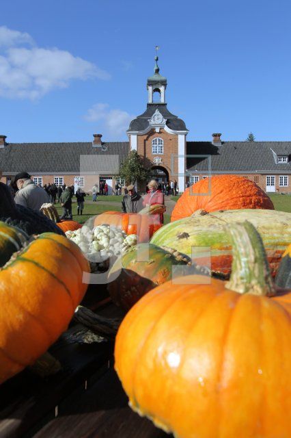 NL07_Museum09_0169.JPG
