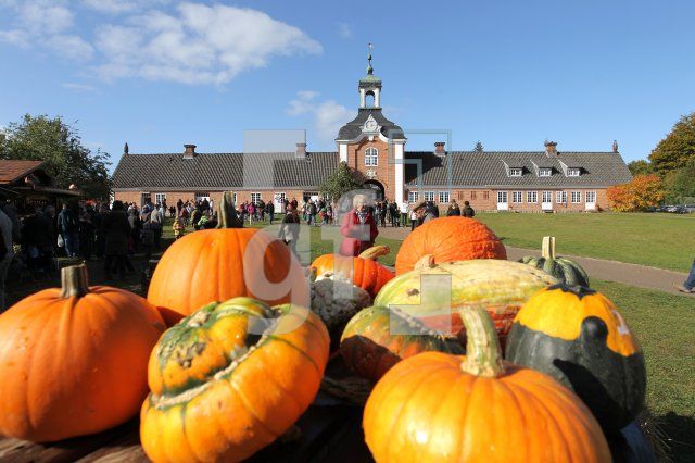NL07_Museum10_0184.JPG