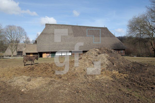 OF04_Molfsee03_0119.JPG