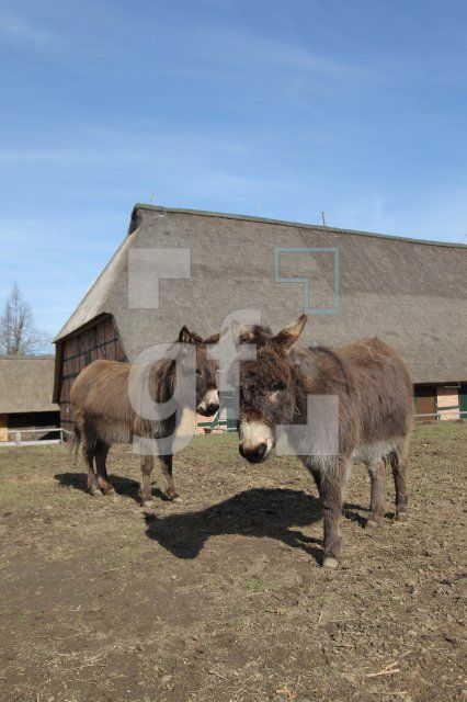 OF04_Molfsee11_0143.JPG