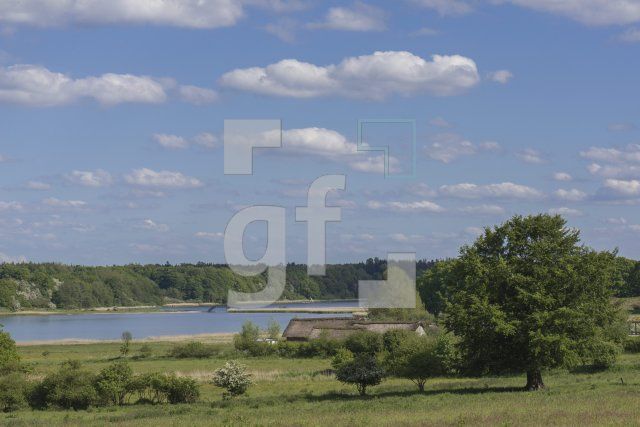 QH04_Wd03_1300.jpg