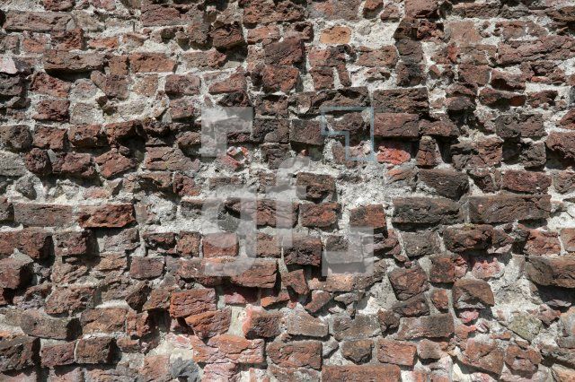 VG28_Dw07_0160.JPG