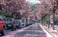 AA01_Fruehling04_0700.jpg