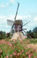 AA01_Honigfleth03_0701.jpg